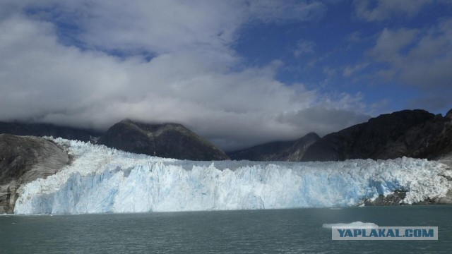 Медведев ответил шуткой на слова представителя Госдепа об Аляске
