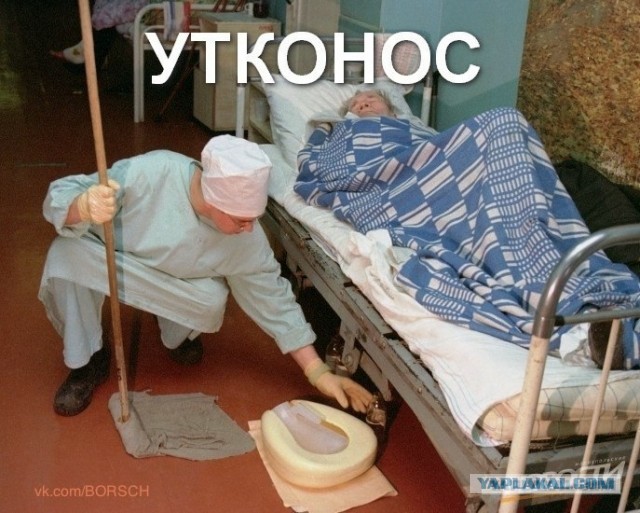 Утки захватывают мир!