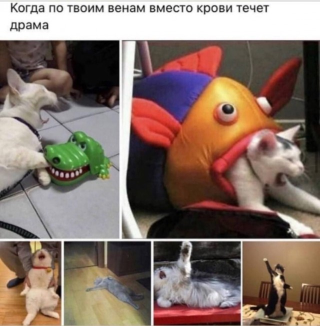 Старался без боянов