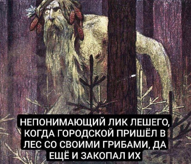 Нуштош 30.05.2024