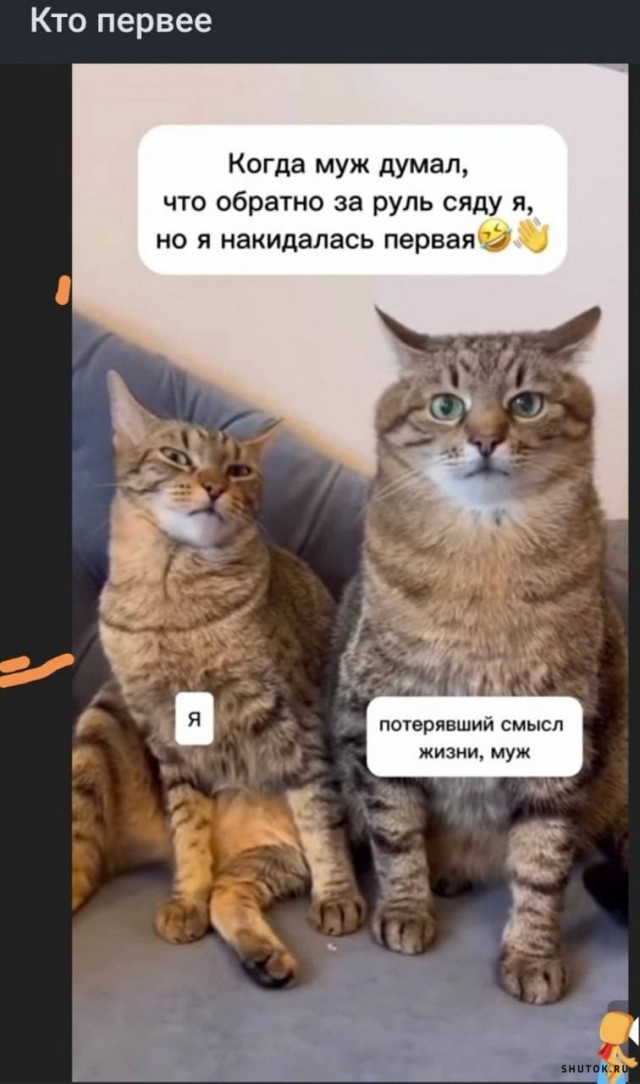 Картиночки, LOL