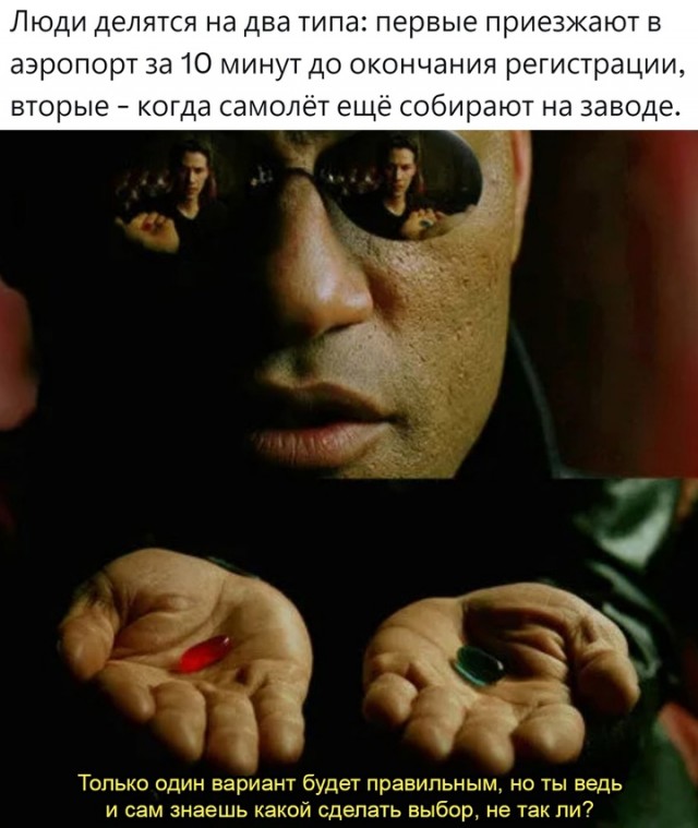 Весёлый полтишок 22.07 24
