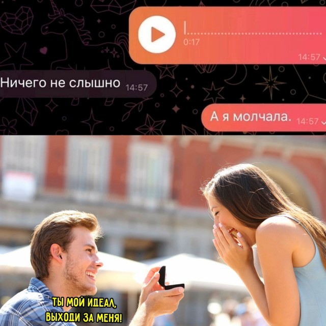 Весёлый полтишок 05.08.24