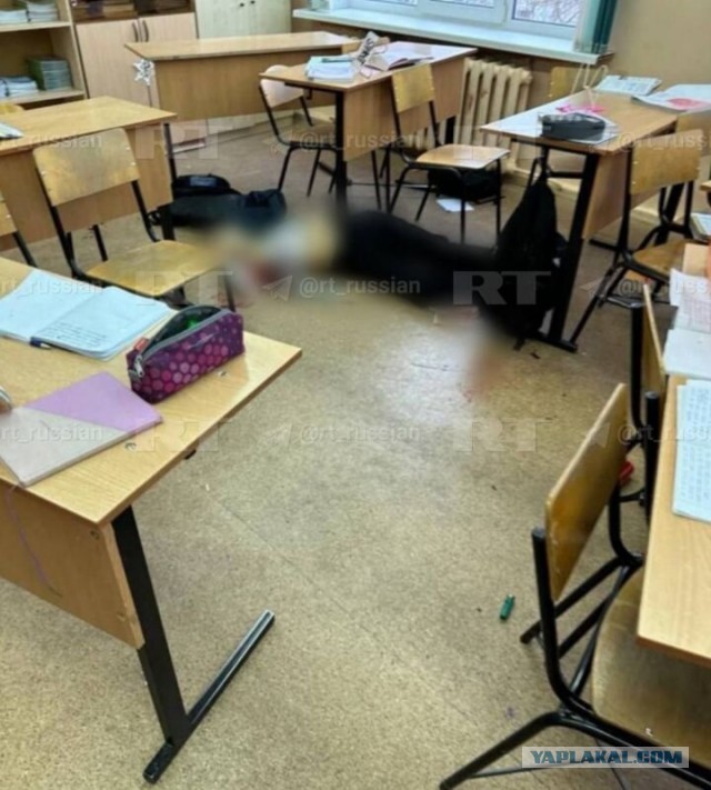 Задержанную за подготовку массового убийства восьмиклассницу из Балашихи избили сокамерницы в СИЗО.