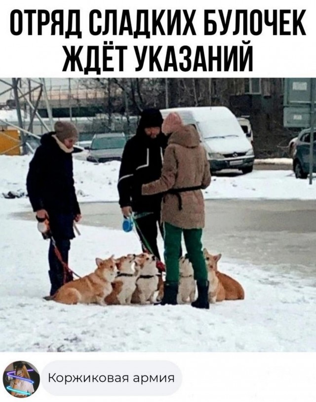 Картинки перед чисткой телефона.