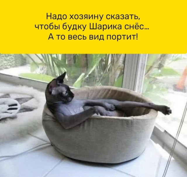 Так себе картинки 28.10.24