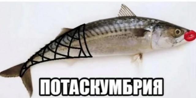 Какие рыбные консервы чаще всего покупают россияне?