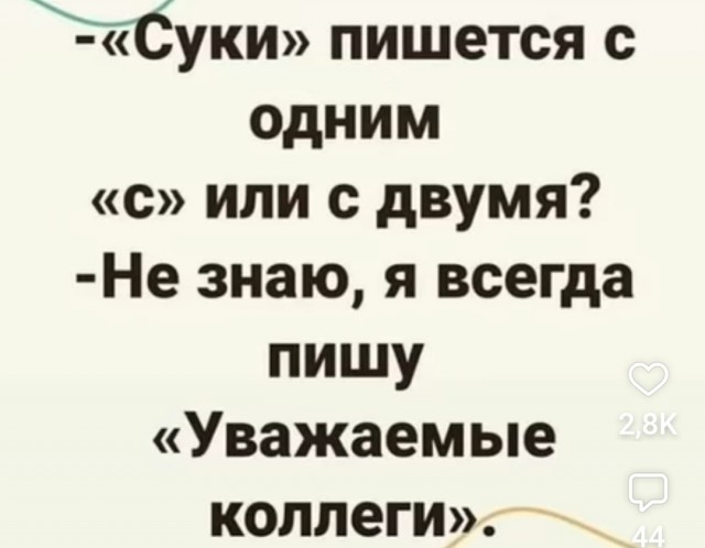 Весёлый полтишок 27.02.2025