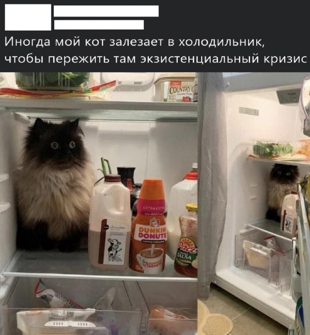 Так себе картинки 03.03.25