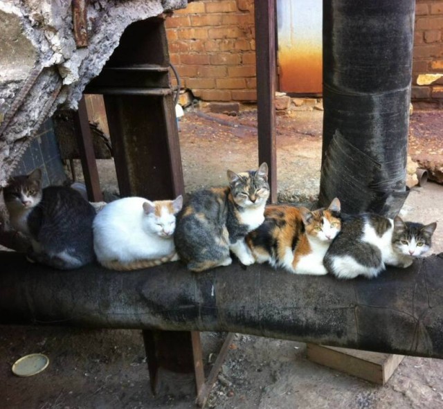 Теплотрасса