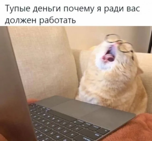 25 грустных, но жизненных мемов про зарплату
