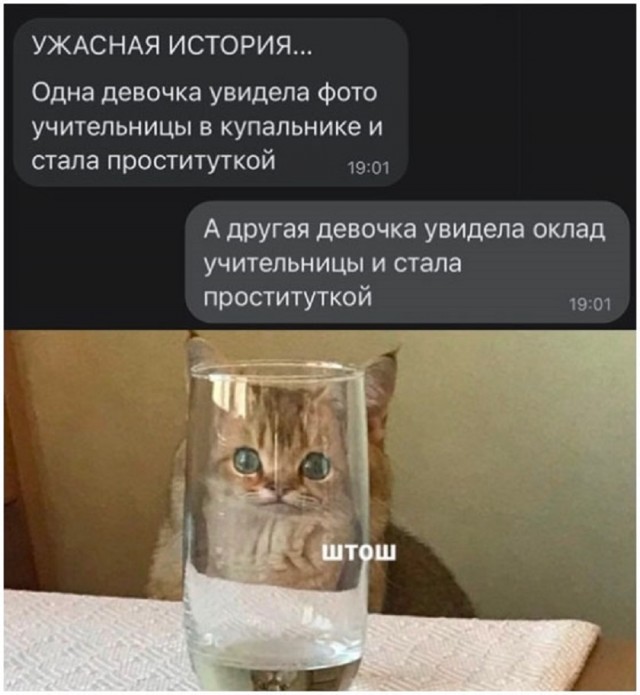 20318342.jpg