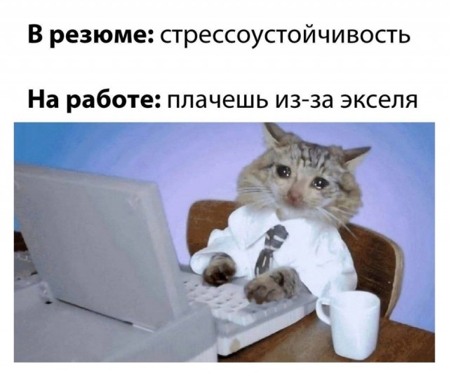 Немного картинок накануне выходных