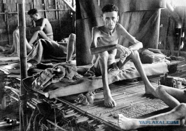 Удачливейший солдат Второй Мировой войны