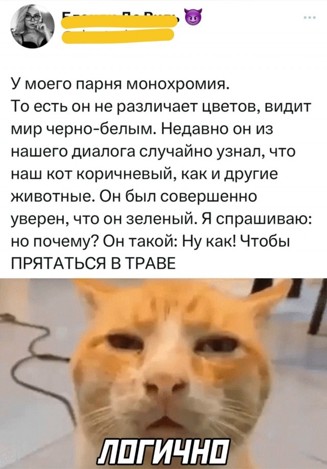 Могу себе позволить