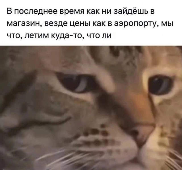 Так себе картинки 18.11.25