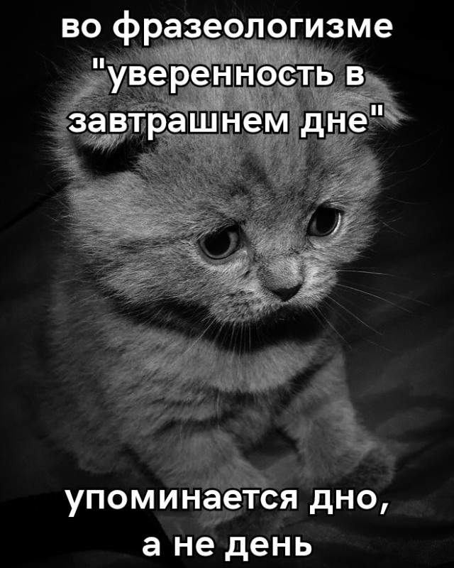 Чёрно белые картинки