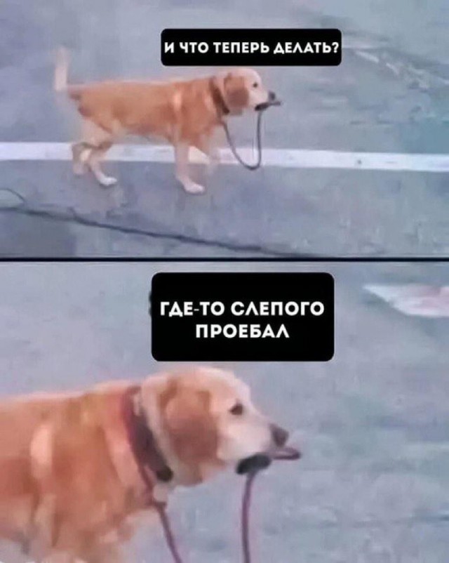 Воскресные картинки