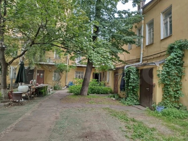 Дорогие мои москвичи