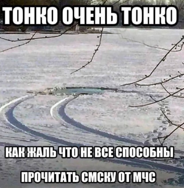Картиночки, баянчики 19 декабря