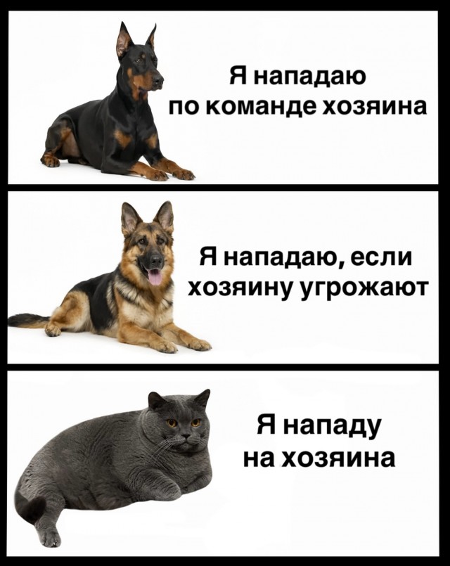 Картинки для деградации 127 (разной степени свежести)
