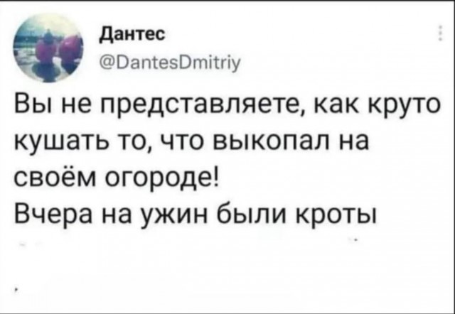 Фигасе мажорище! Пять штук схомячила, сучара! Я аж черной икрой подавился от возмущения!