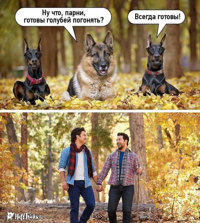 Картиночки, баянчики 15 февраля