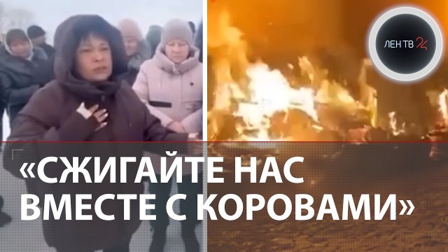 В Новосибирске найден мертвым сотрудник управления ветеринарии
