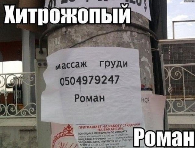 Картинки для деградации 202 (разной степени свежести)
