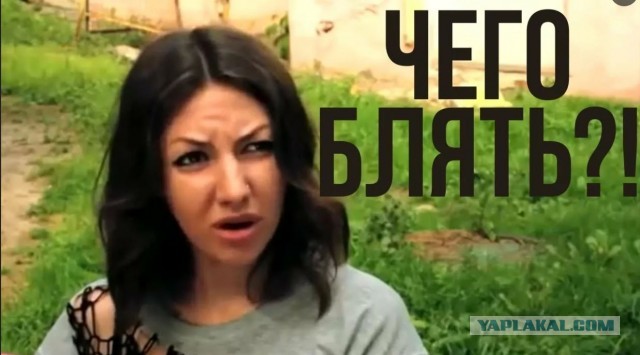 Четыре вида пришельцев: раскрыт главный «инопланетный» секрет США
