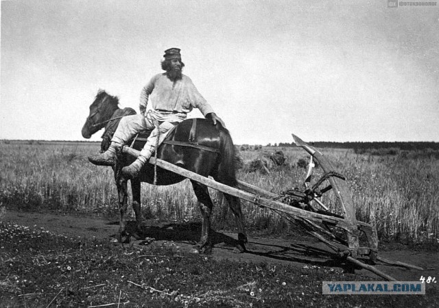 Дореволюционный мем о нашей с вами жизни