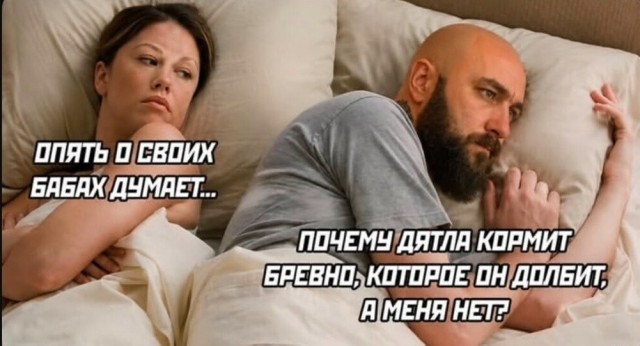 Картинки для деградации 268 (разной степени свежести)