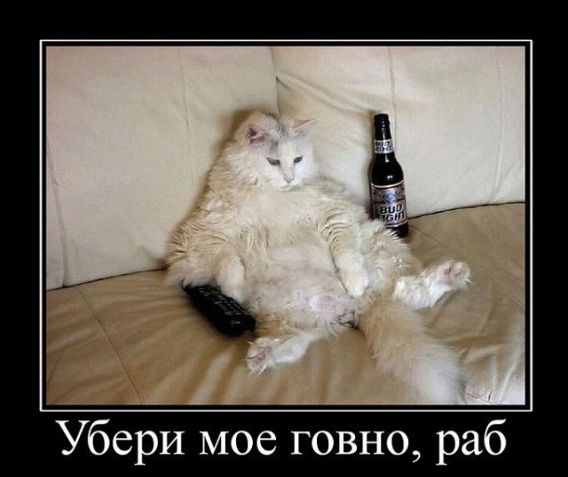 Два мнения о прививках