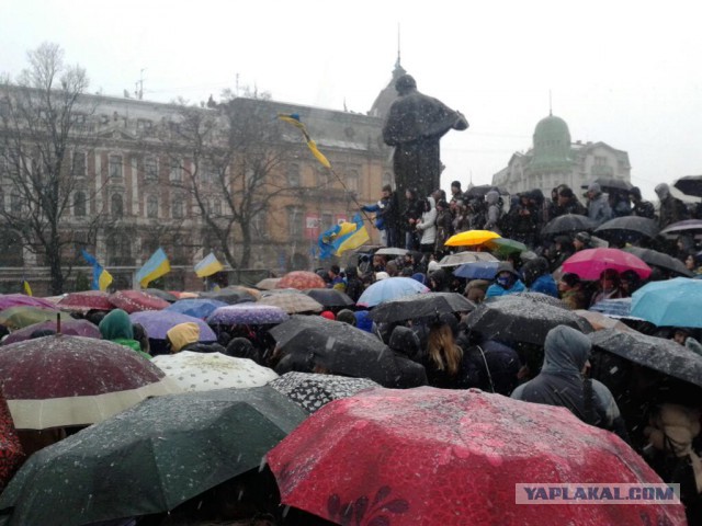 Майдан 2013, Киев