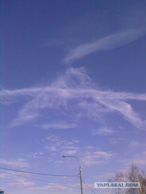 6 фоток с карты памяти