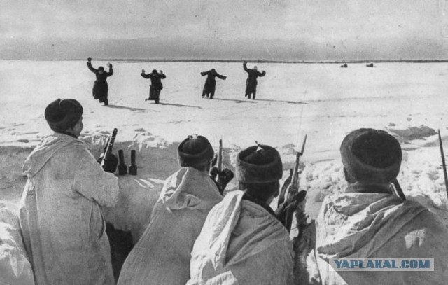 Очевидцы: потери у карателей колоссальные