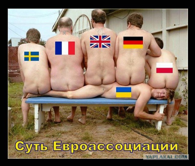 Горячие демотиваторы