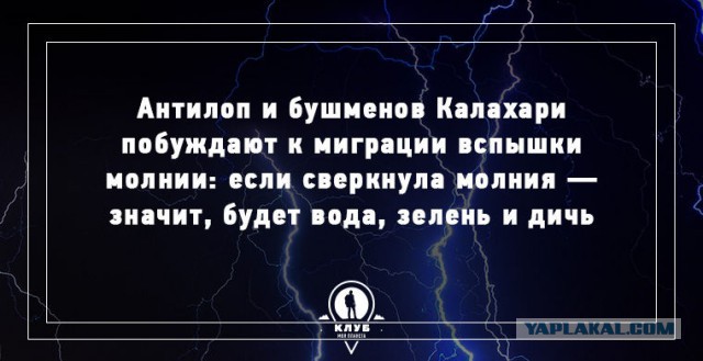 13 удивительных фактов о планете