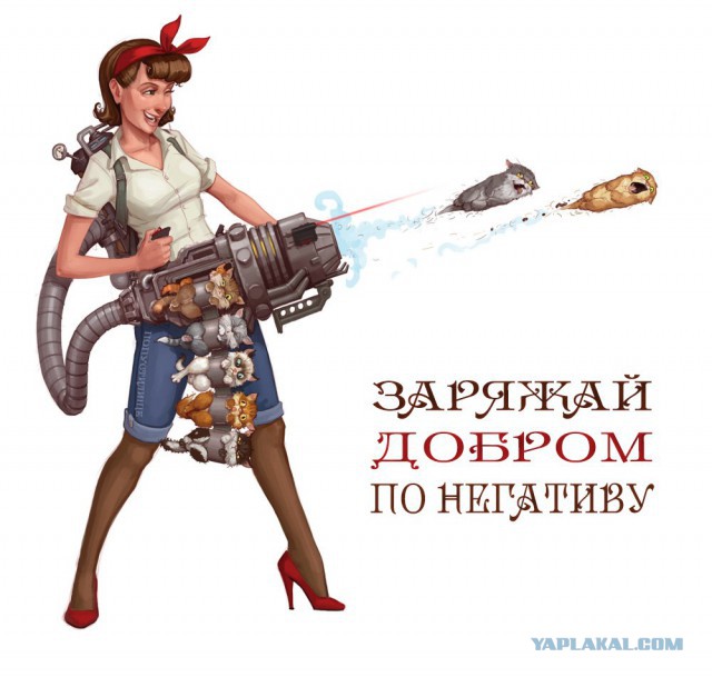 Забавные картинки из Сети
