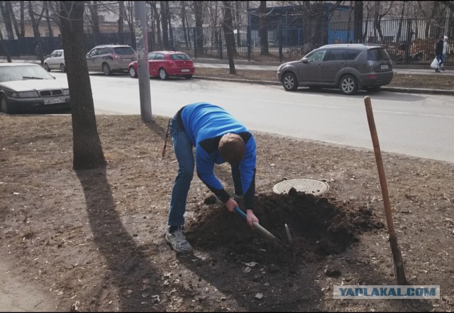 Мой метод борьбы с парковкой на газоне