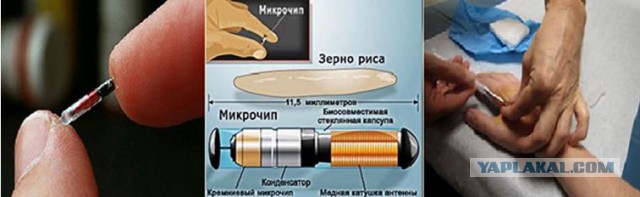ПГМ: после получения биометрического паспорта
