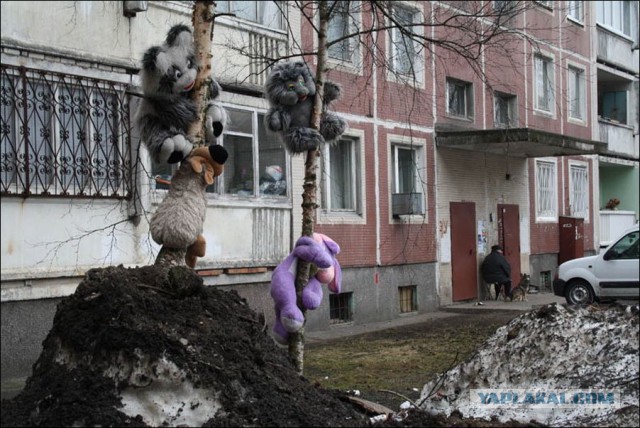 Наши дворы