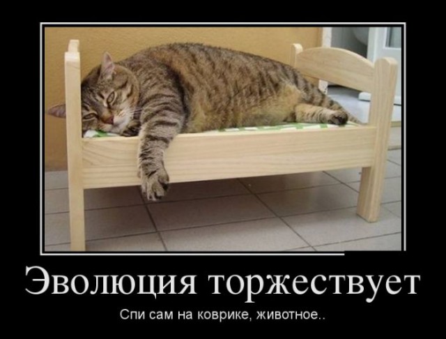 Злые шутки или минутка сарказма на ЯП-е, 16+