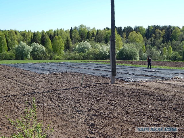 Приезжайте в деревню