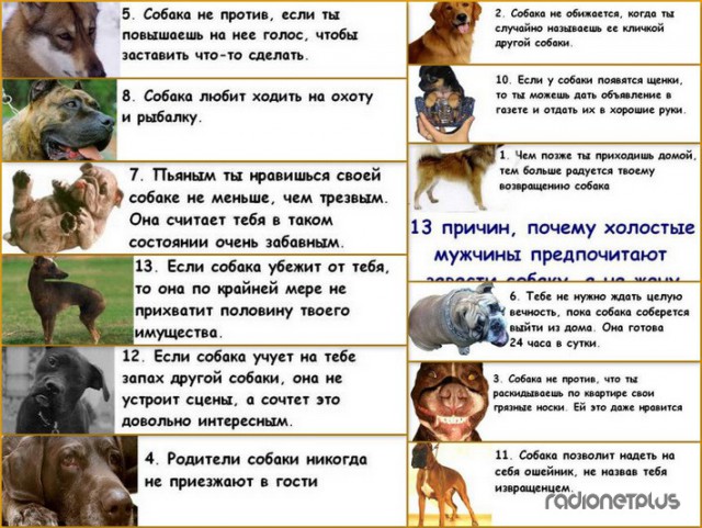 О женщинах и твоем доходе