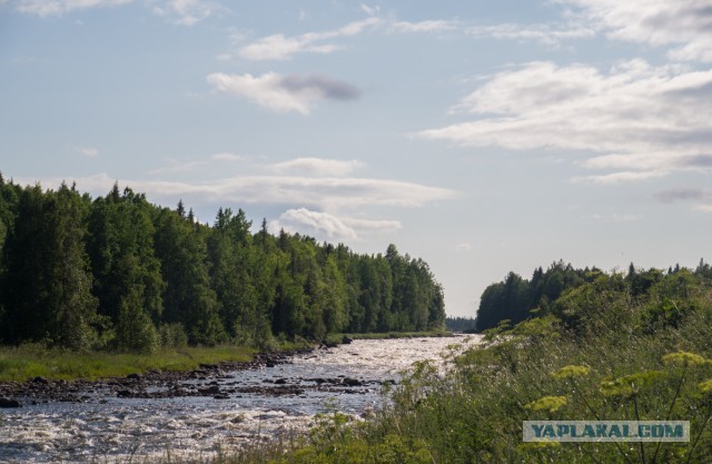 Карелия. Белое море.