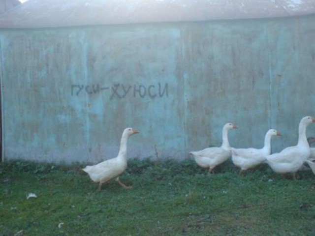 Одного меня бесит фраза "доброго времени суток" или нет?
