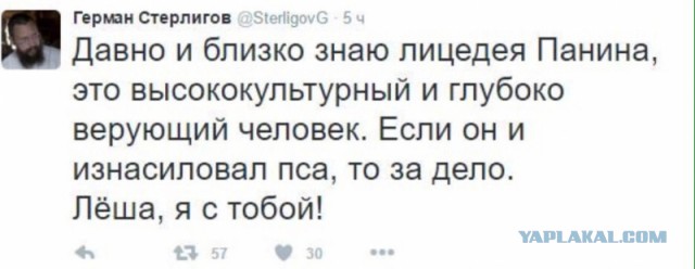Отжиги Стерлигова на ТВ