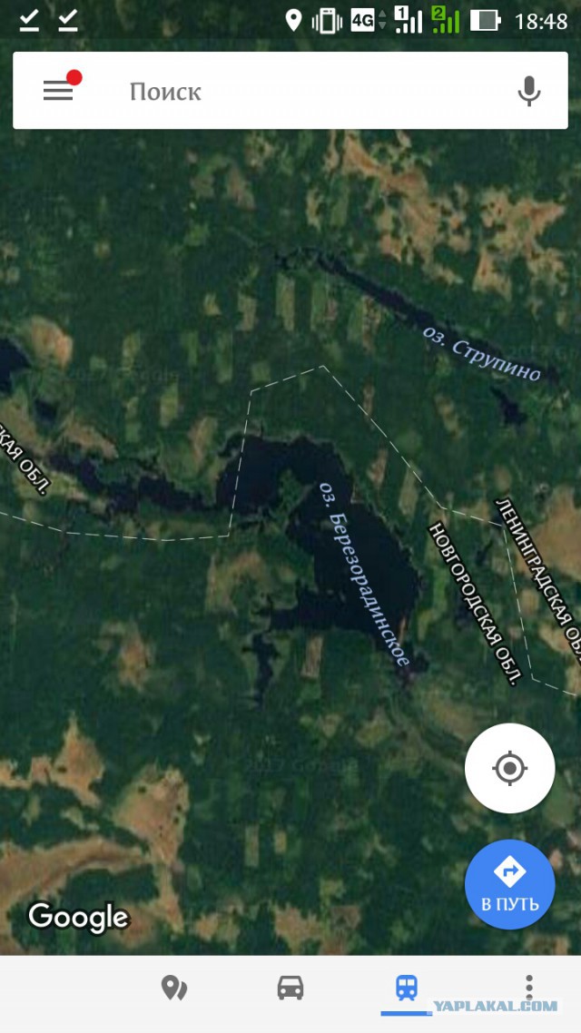 Во Владимирской области озеро с рыбой ушло под землю