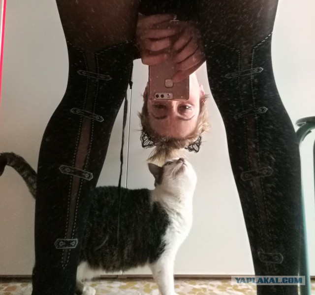 Сижу я сейчас на работе, и...